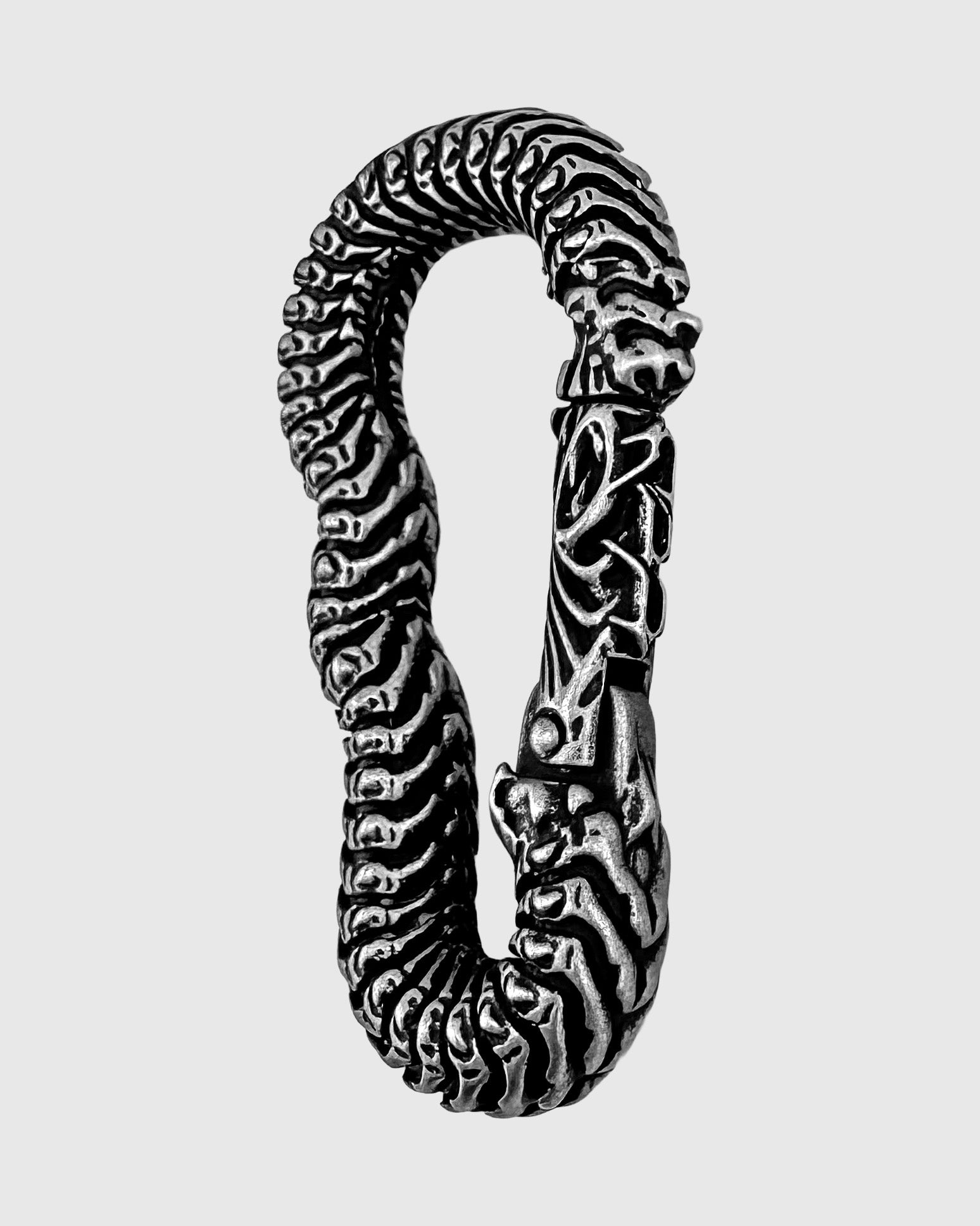 Vertebrae Carabiner