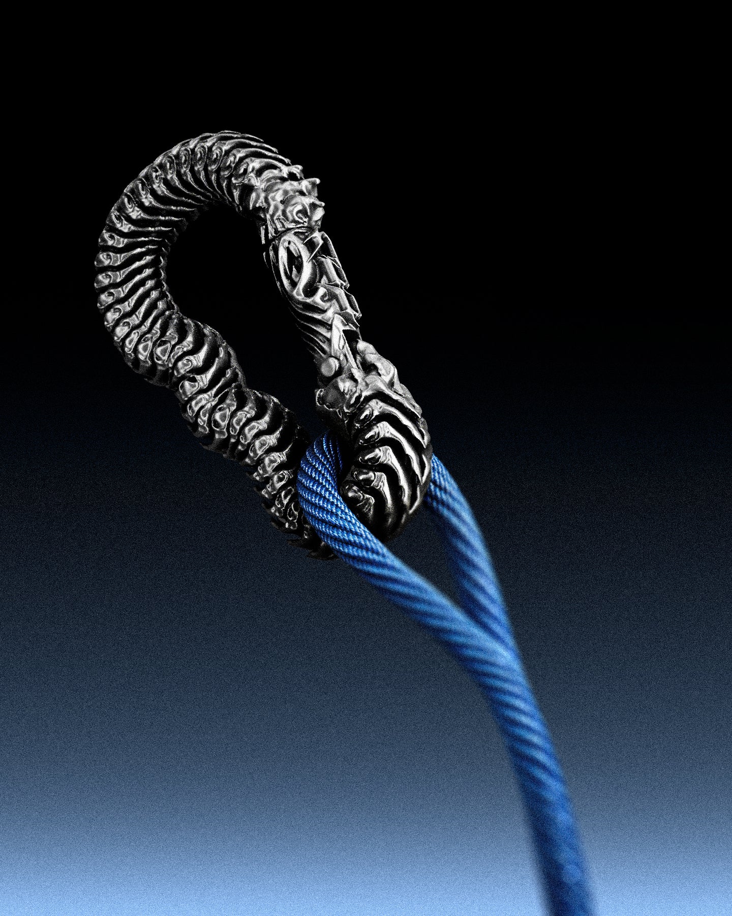 Vertebrae Carabiner