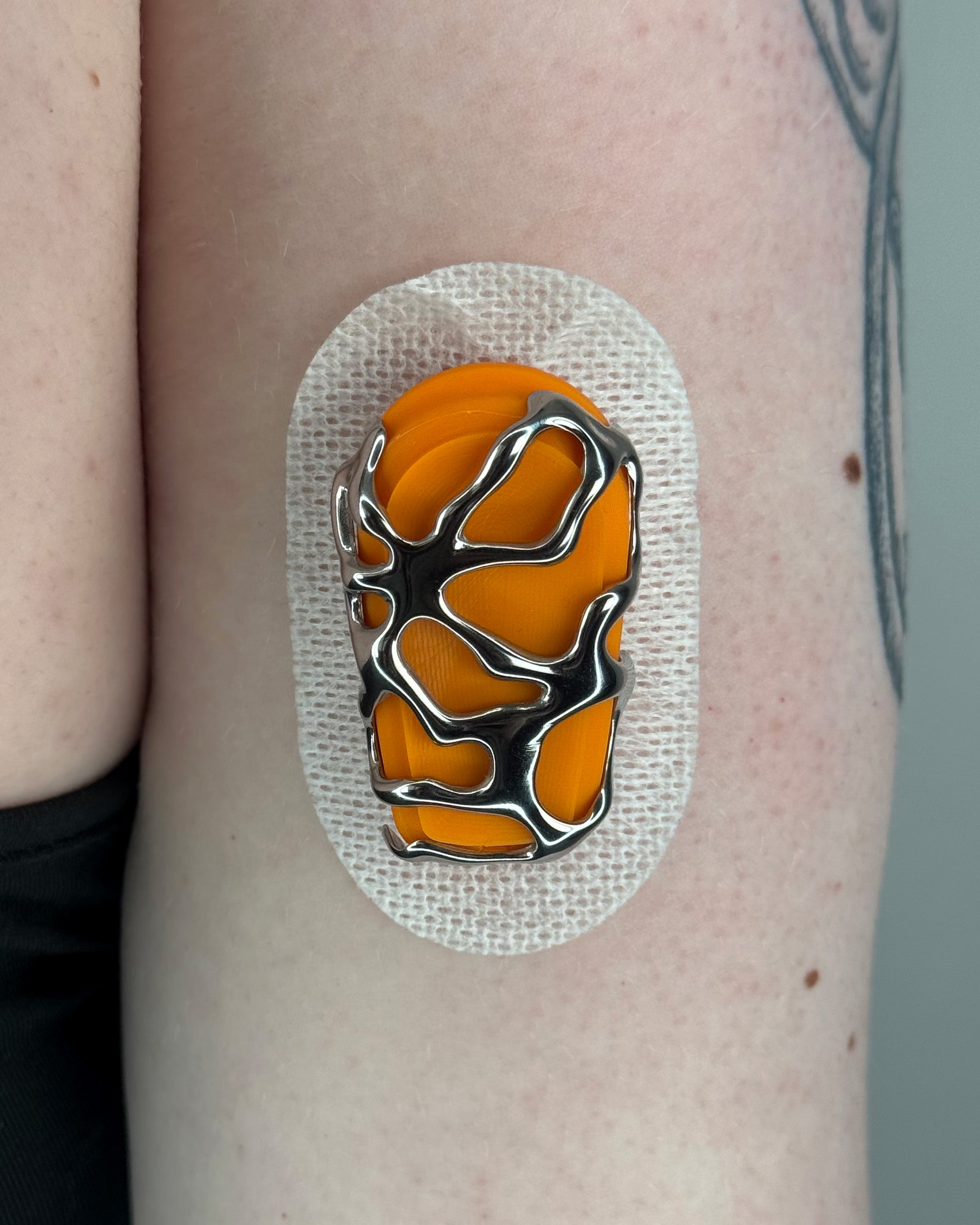 Orange Shell