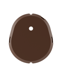 Brown Shell