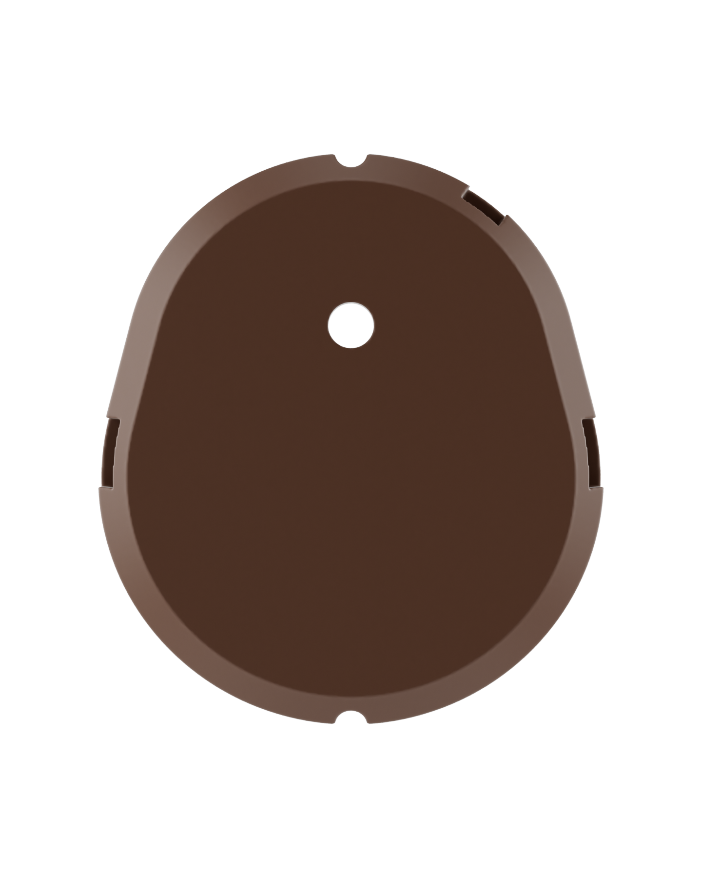 Brown Shell