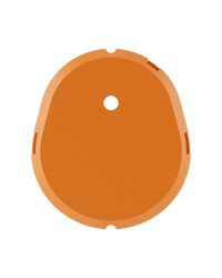 Orange Shell