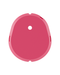 Pink Shell