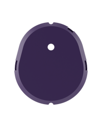 Purple Shell