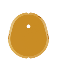Yellow Shell