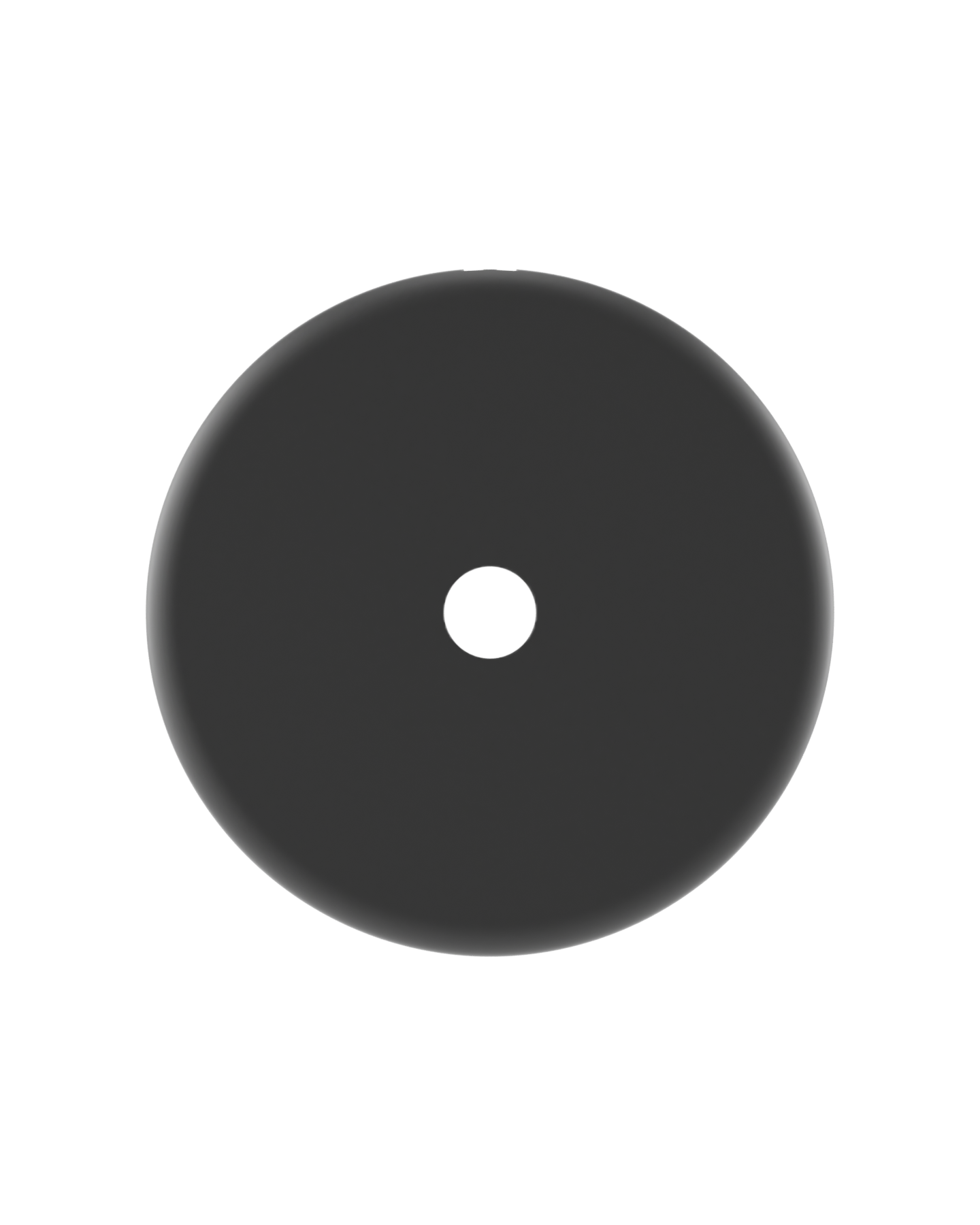 Grey Shell