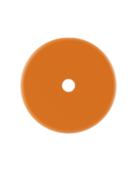 Orange Shell