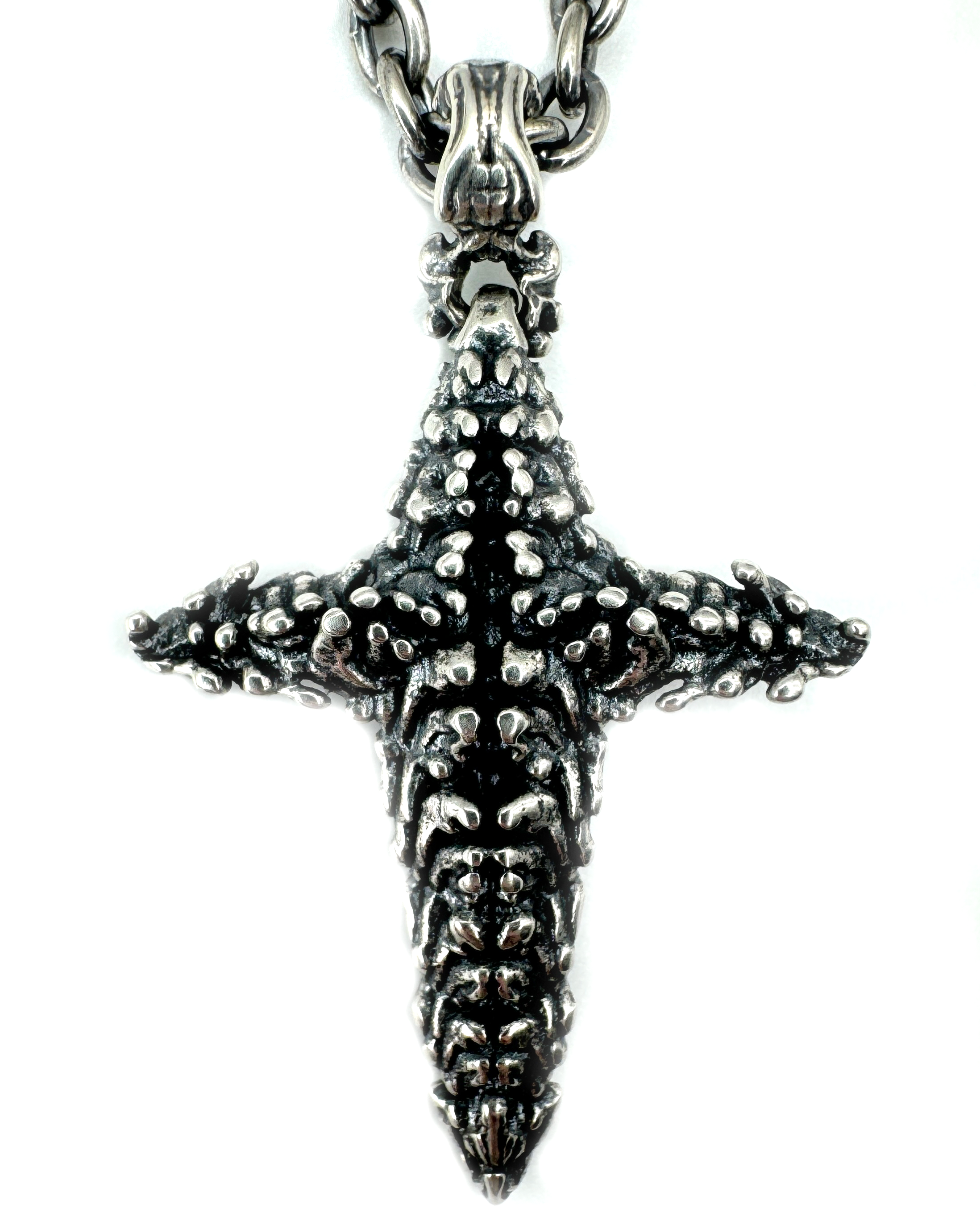 Vertebrae Cross